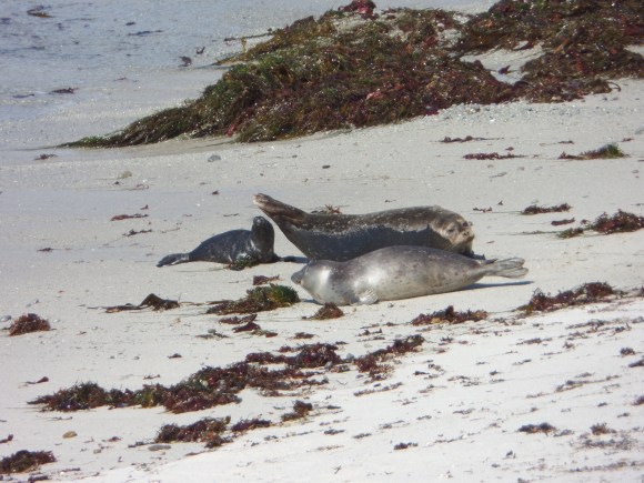 SAMSUNG CAMERA PICTURES