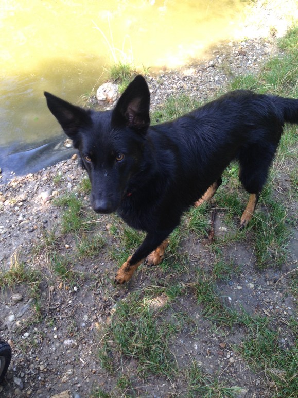 Das ist der Größte. Ein Liebi. 