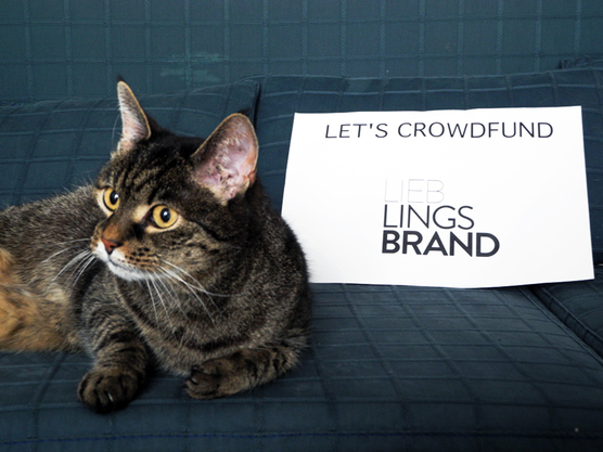 Mit der Katze hats irgendwie auch was zu tun. Das Foto ist aber nur von mir von der Seite gestohlen, weil ichs so lieb find. 