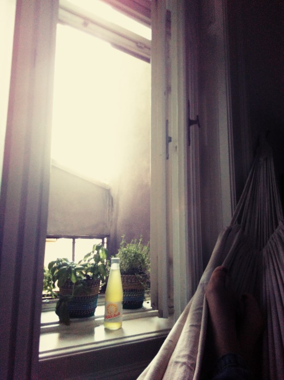 IMG_20160623_184632_blog