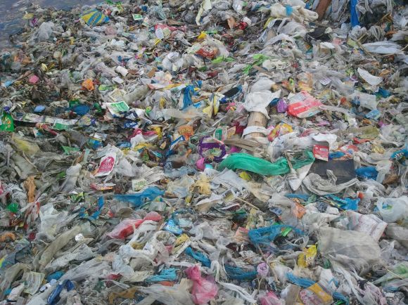 WhatsApp-Image-20160716 (1)